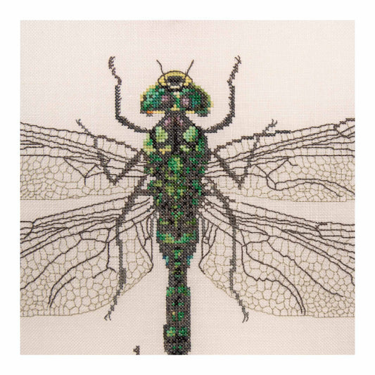 Counted Cross Stitch Kit The History of Insects close up