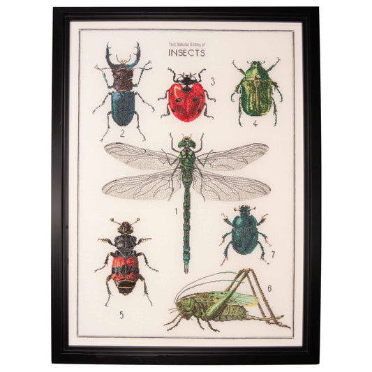 Counted Cross Stitch Kit The History of Insects 