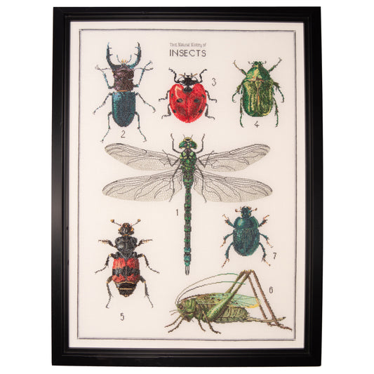 The History of Insects - Aida - 16 - 566A
