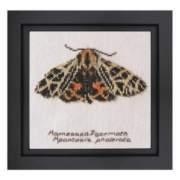 Framed cross-stitched picture of a moth with text on a white background