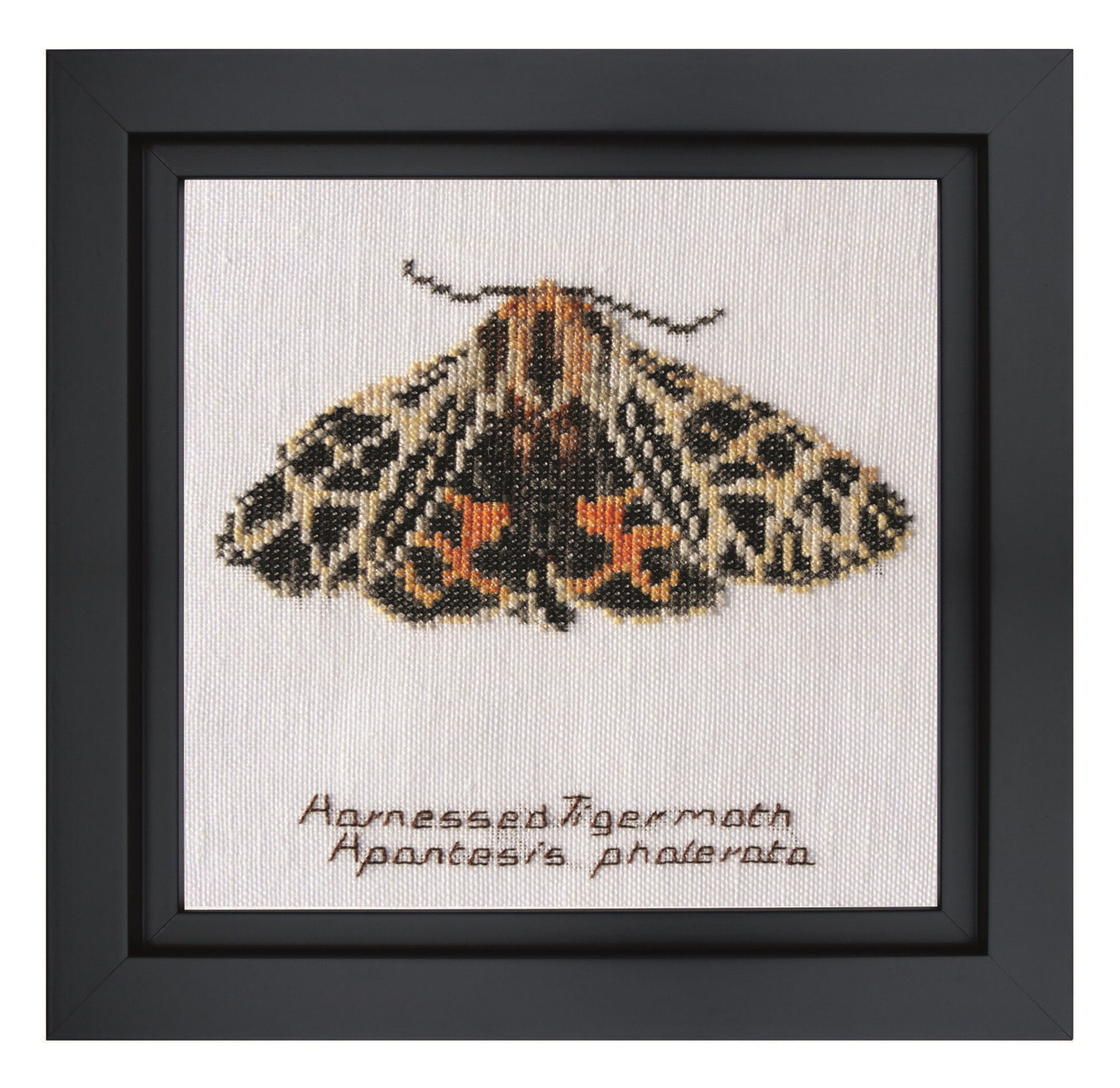Harnessed Tiger moth - Linen - 32 - 569-Thea Gouverneur Since 1959