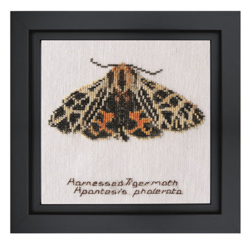 Harnessed Tiger moth - Linen - 32 - 569-Thea Gouverneur Since 1959