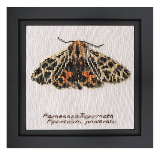 Harnessed Tiger moth - Aida - 16 - 569A-Thea Gouverneur Since 1959