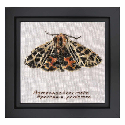 Framed cross-stitched picture of a moth with text on a white background