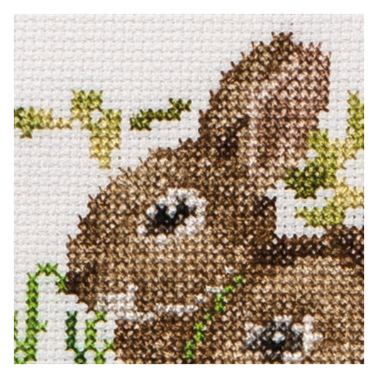 Bunnies - Aida - 14 - 572A