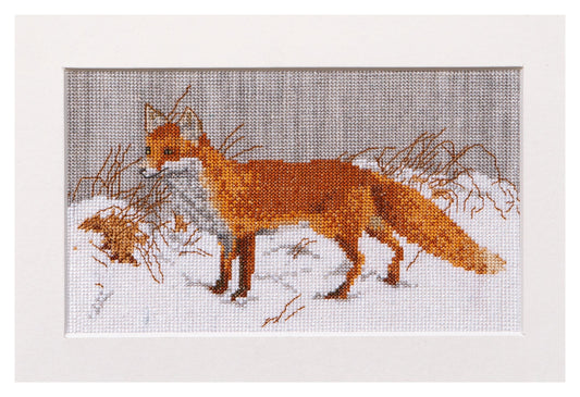 Foxy - Aida - 14 - 573A