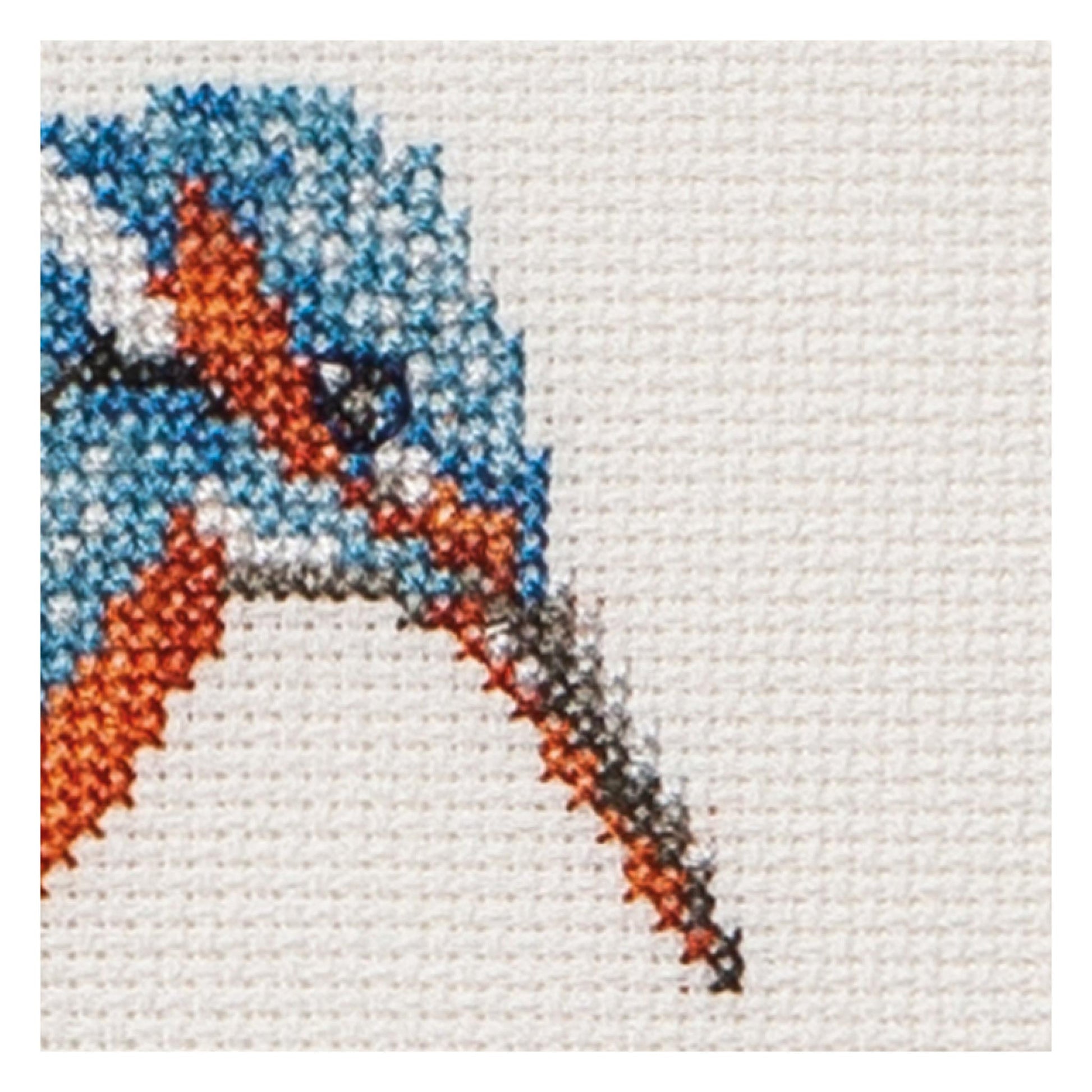 Cross stitch kit kingfisher on a white background close up embroidery