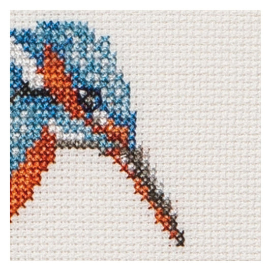 Counted Cross Stitch Kit Kingfisher Bird - Aida 14 Count