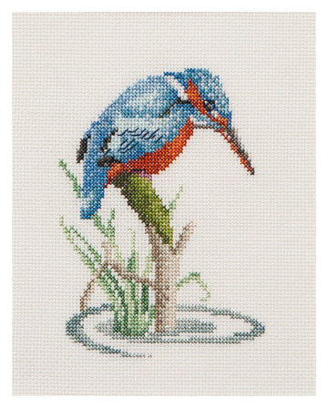 Kingfisher - Aida - 14 - 574A