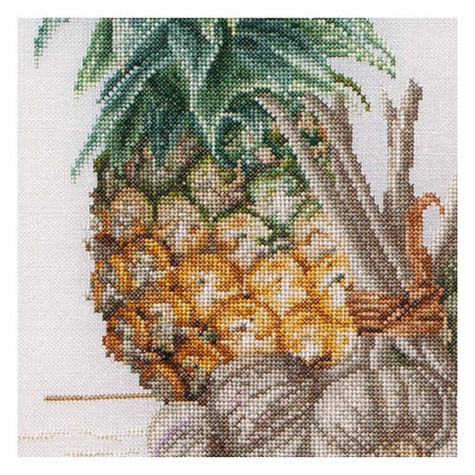 Kitchen - Aida - 14 - 576A