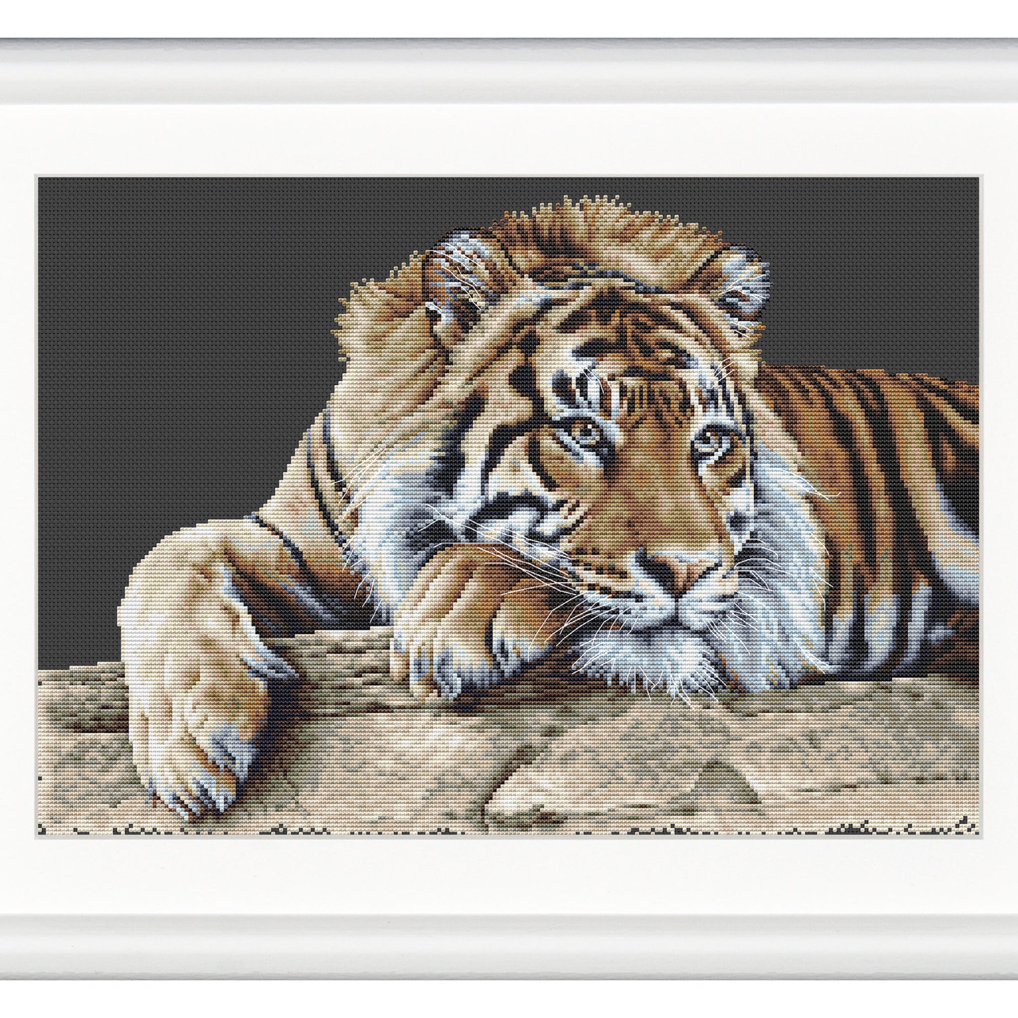 Tiger - Zwart <tc>Aida</tc> - 14 <tc>count</tc> - 579,05