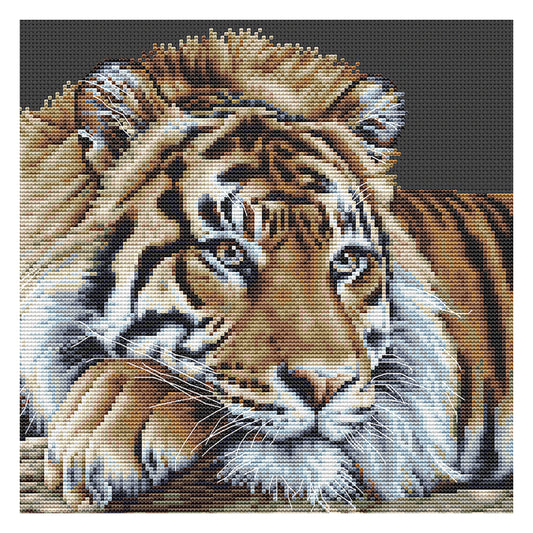 Tiger - Black Aida - 14 - 579.05
