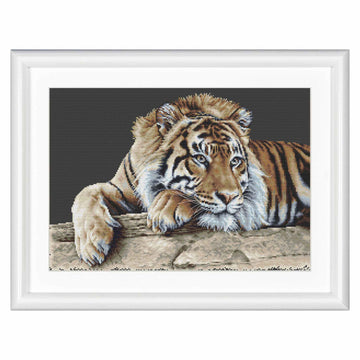 Tiger – Schwarz Aida – 14 – 579,05