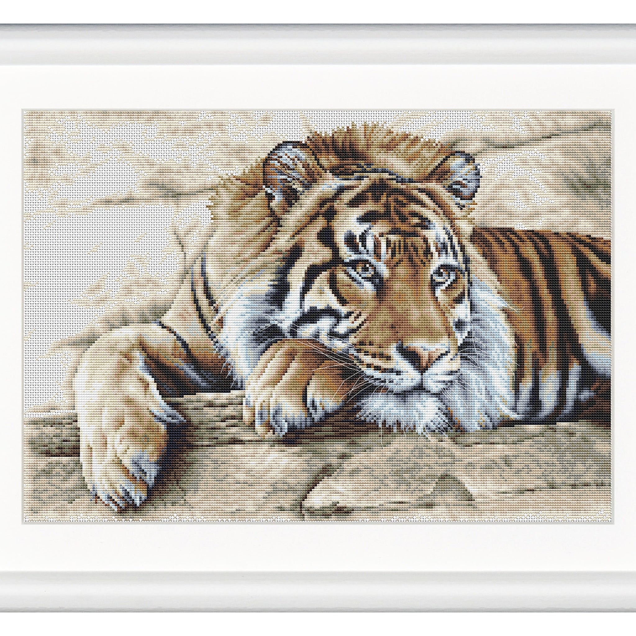 Tiger - Aida - 14 - 579A