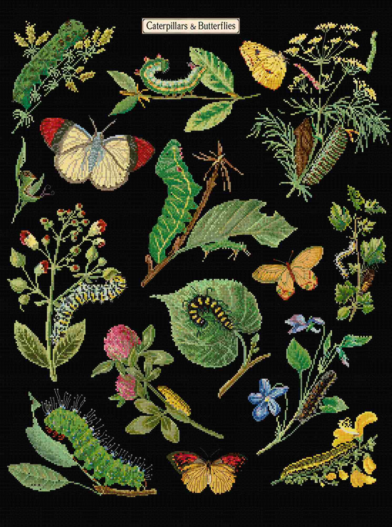 Cross stitch of caterpillars, butterflies, and plants on a black background