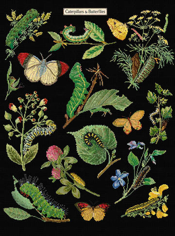 Cross stitch of caterpillars, butterflies, and plants on a black background