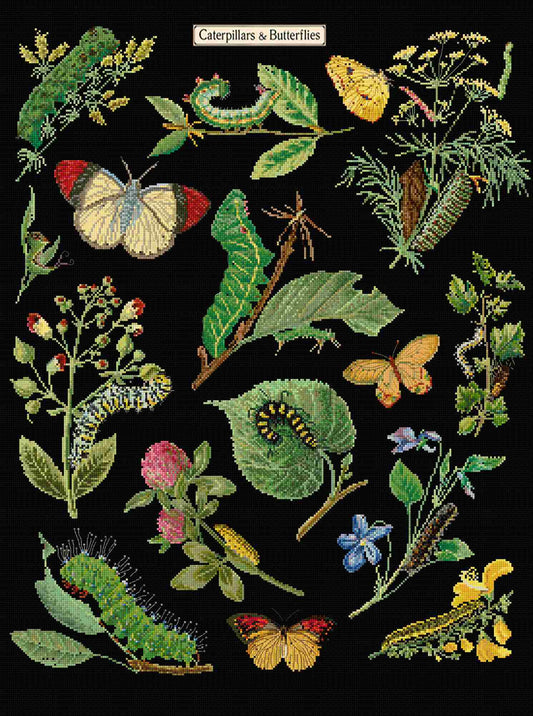 Cross stitch of caterpillars, butterflies, and plants on a black background