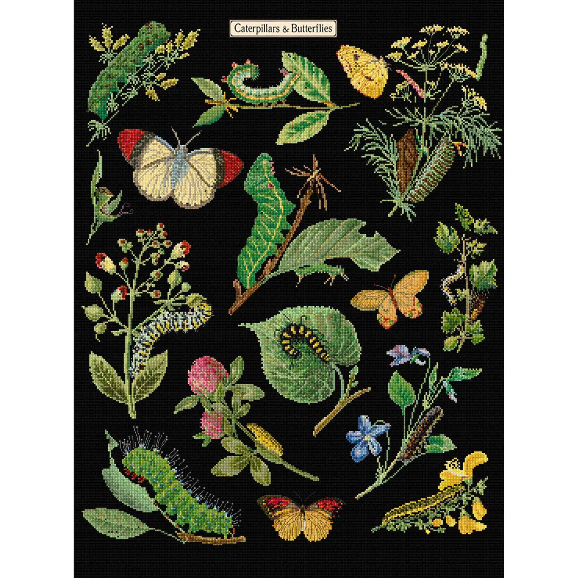 cross stitch design of caterpillars, butterflies, and plants on a black background Thea Gouverneur