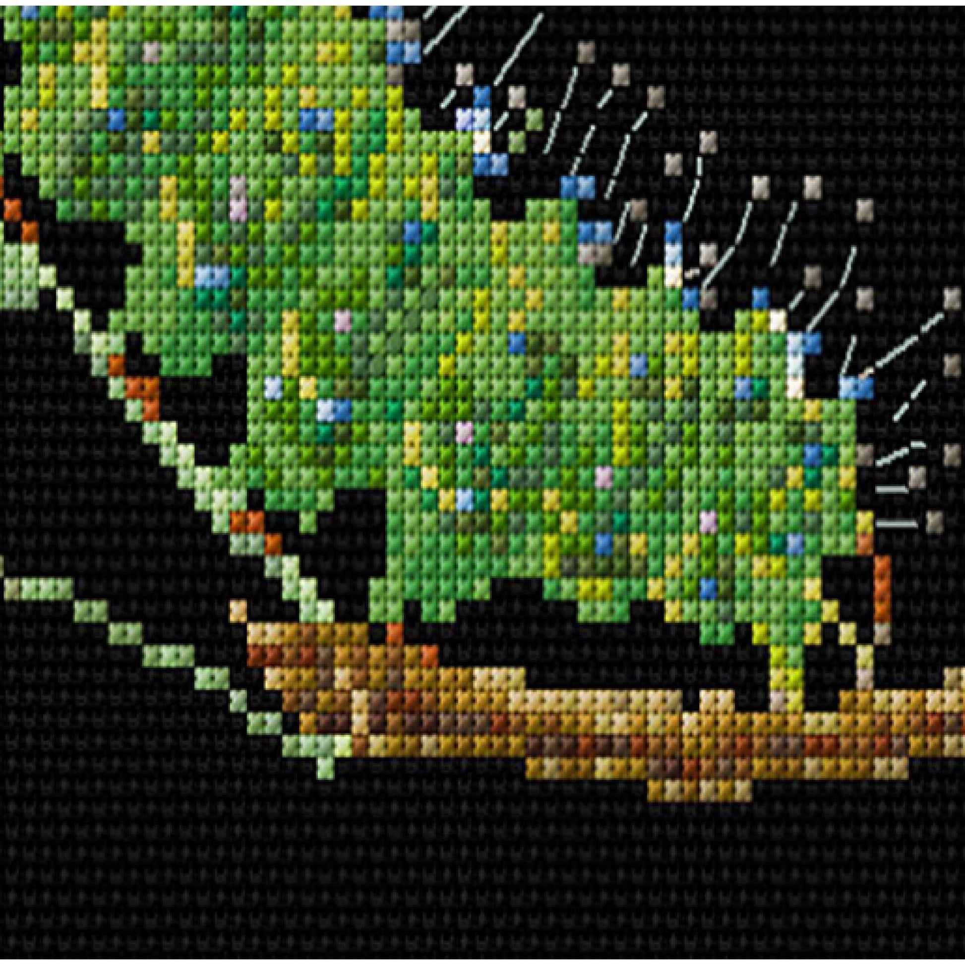 Close up caterpillar on a black background