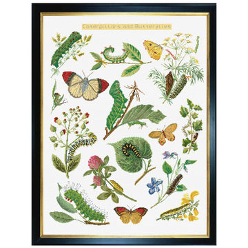 Counted Cross Stitch Kit Caterpillars & Butterflies – Linen 32 Count