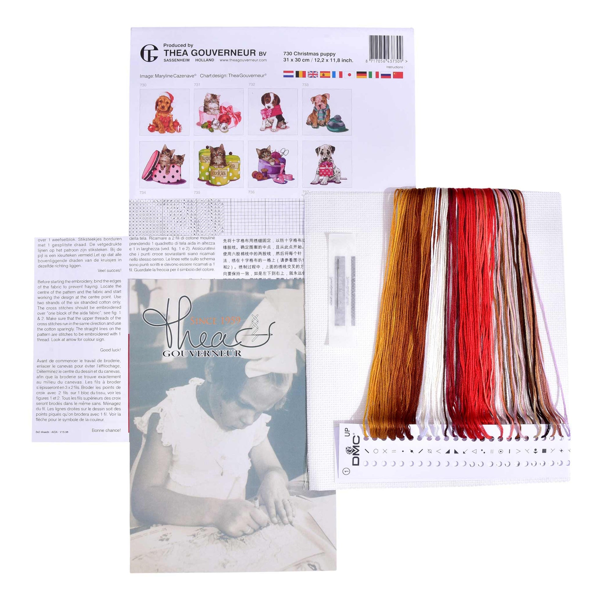 Packaging of Thea Gouverneur embroidery kit with pattern sheet, needlework fabric, and DMC floss threads on a white background