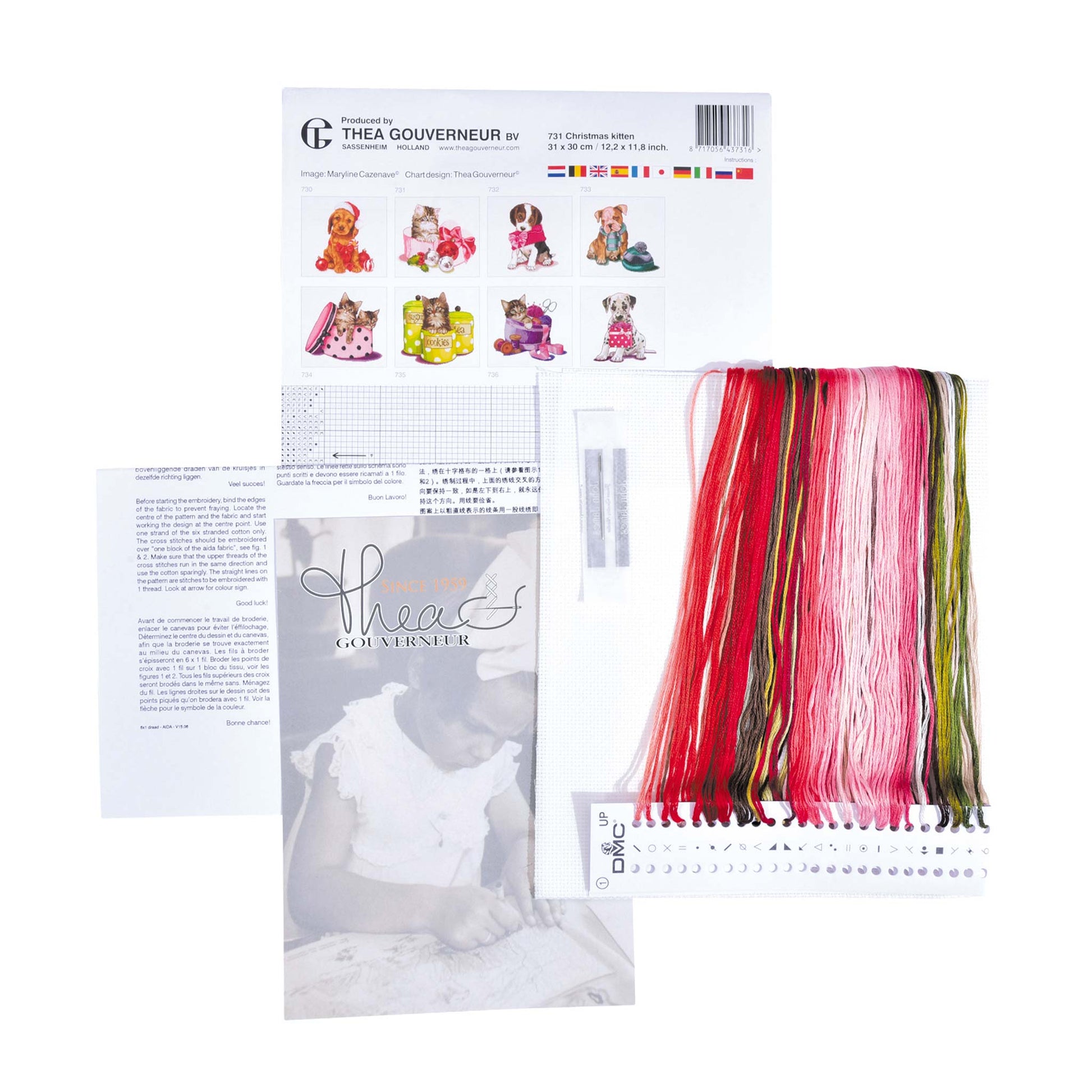 Packaging of Thea Gouverneur embroidery kit with pattern sheet, needlework fabric, and DMC floss threads on a white background