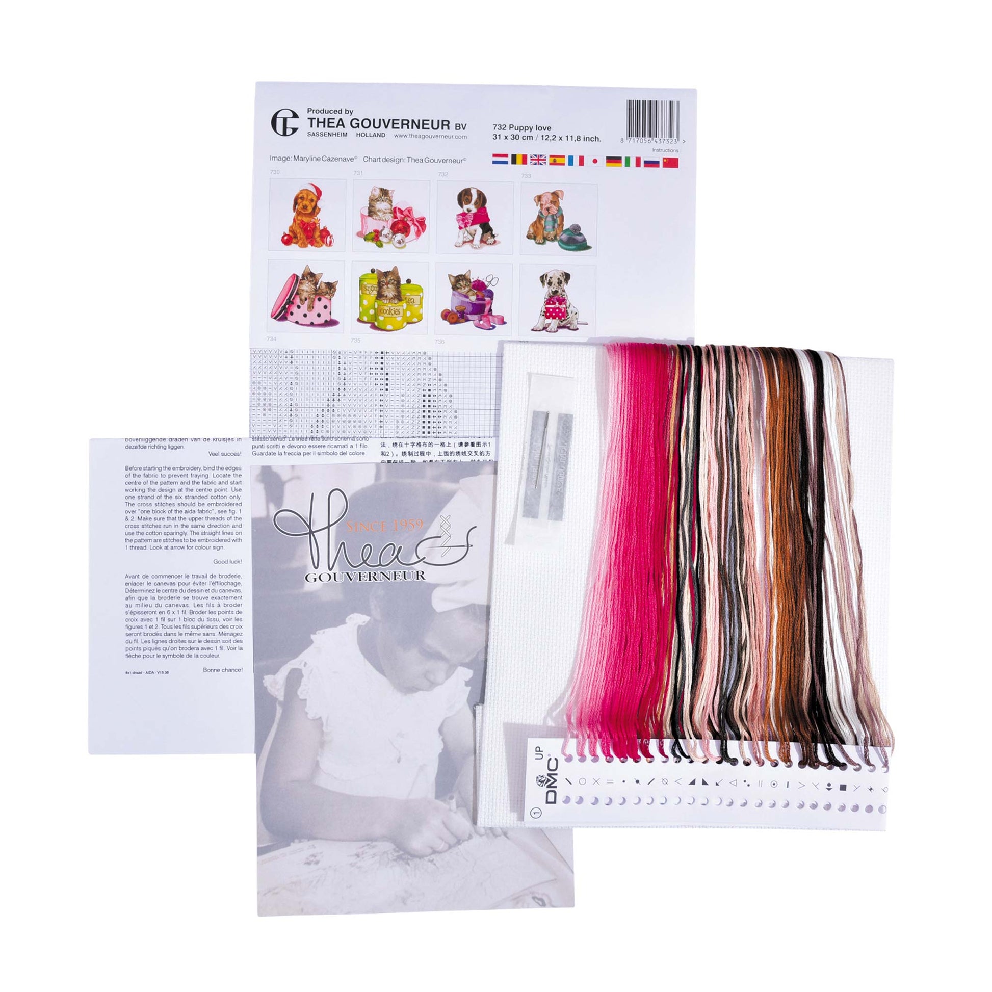 Packaging of Thea Gouverneur embroidery kit with pattern sheet, needlework fabric, and DMC floss threads on a white background