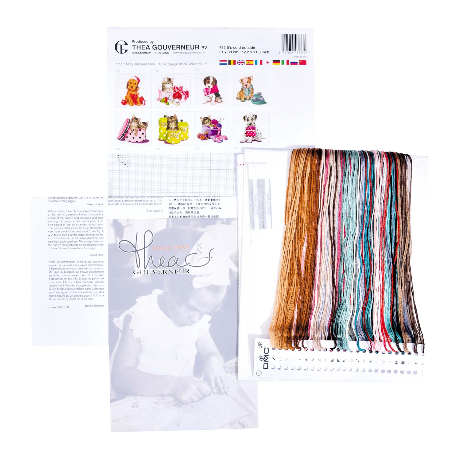 Packaging of Thea Gouverneur embroidery kit with pattern sheet, needlework fabric, and DMC floss threads on a white background