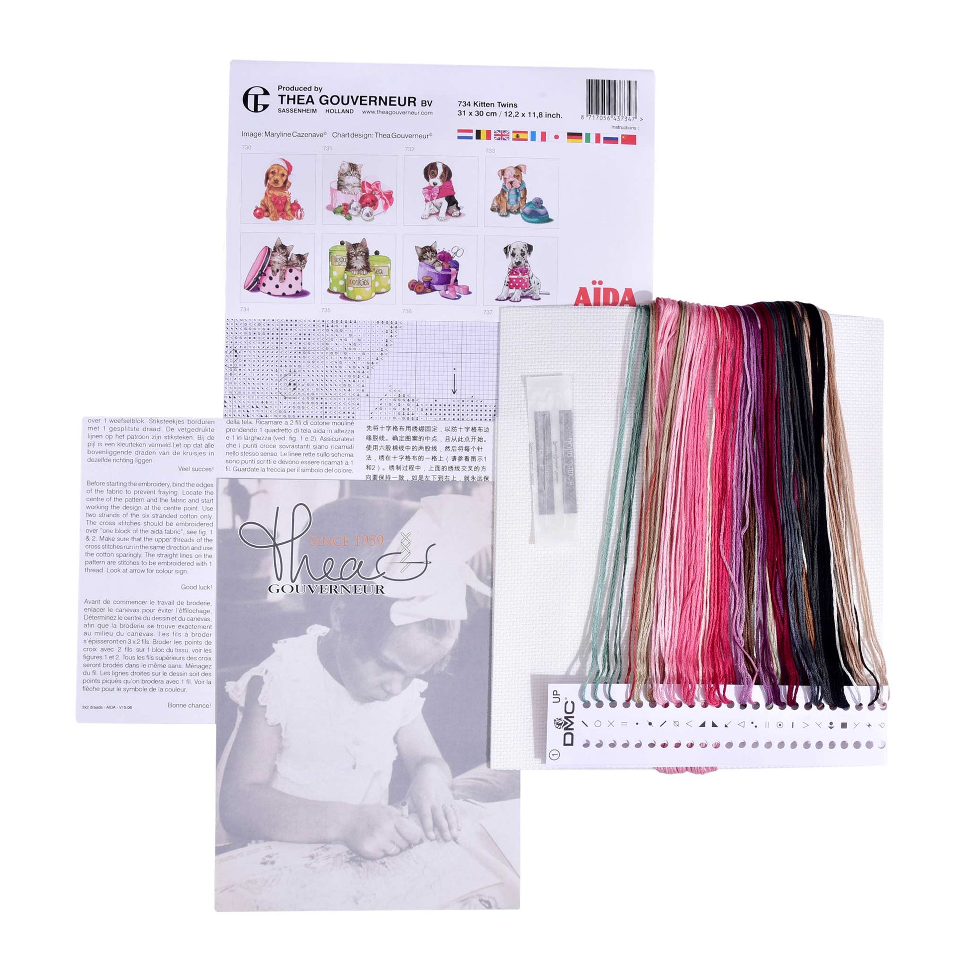 Packaging of Thea Gouverneur embroidery kit with pattern sheet, needlework fabric, and DMC floss threads on a white background