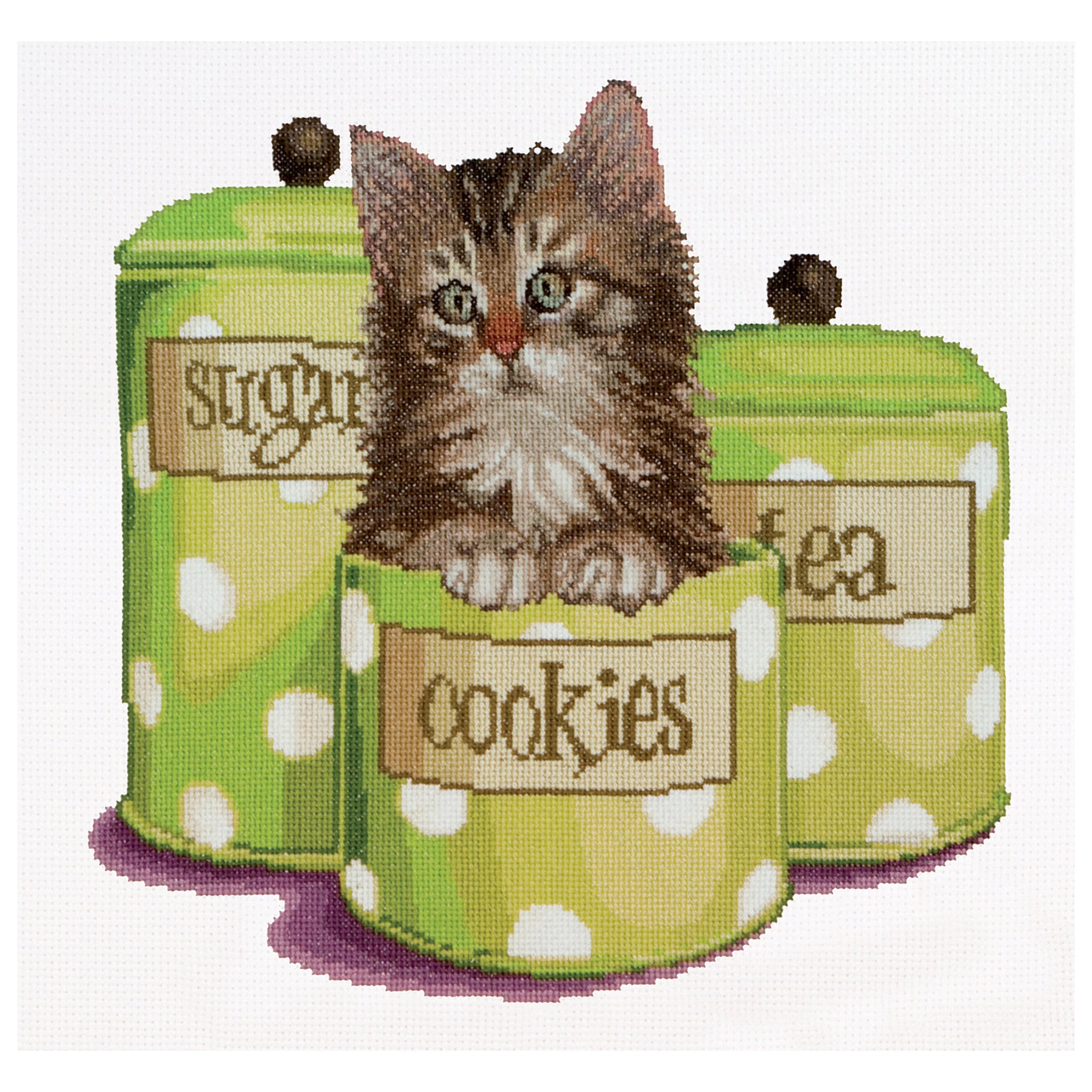 Cookie Time - Aida - 16 - 735A