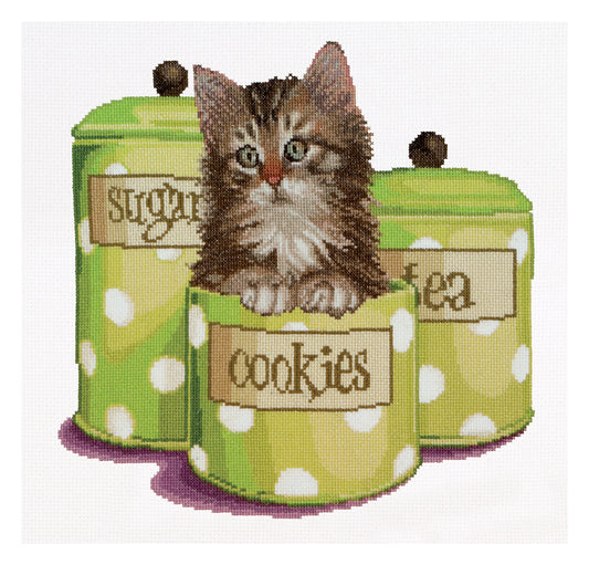 Cookie Time - Aida - 16 stuks - 735A
