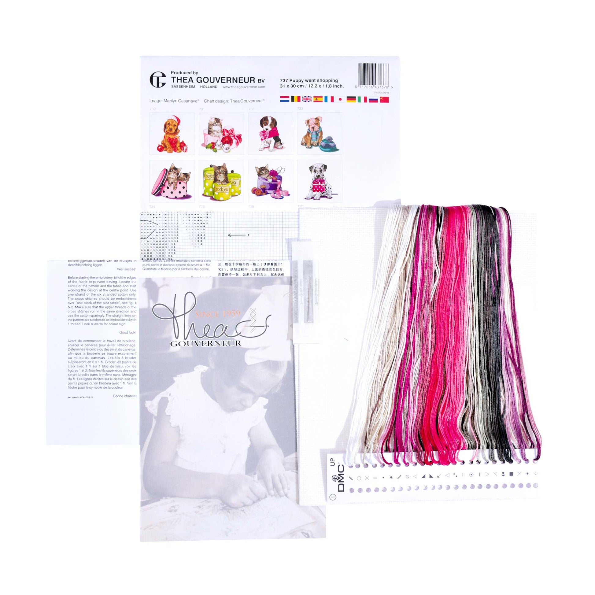 Packaging of Thea Gouverneur embroidery kit with pattern sheet, needlework fabric, and DMC floss threads on a white background