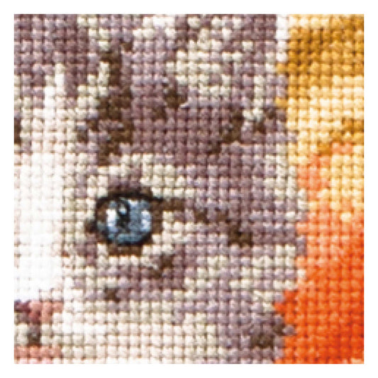 Halloween Kitten - Aida - 16 - 738A