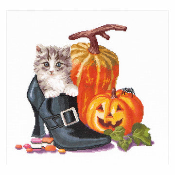 Chaton d'Halloween - Aida noir - 16 - 738,05