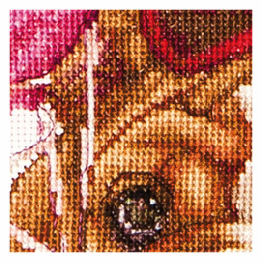 Valentine's Puppy - Aida - 16 - 739A