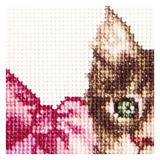Valentine's Kitten - Aida - 16 - 740A