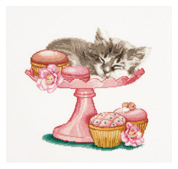 Sweet As Sugar - Aida - 16 - 742A