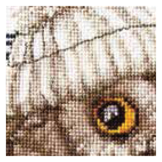 Whoo..Whoo..It's Winter - Aida - 16 - 743A