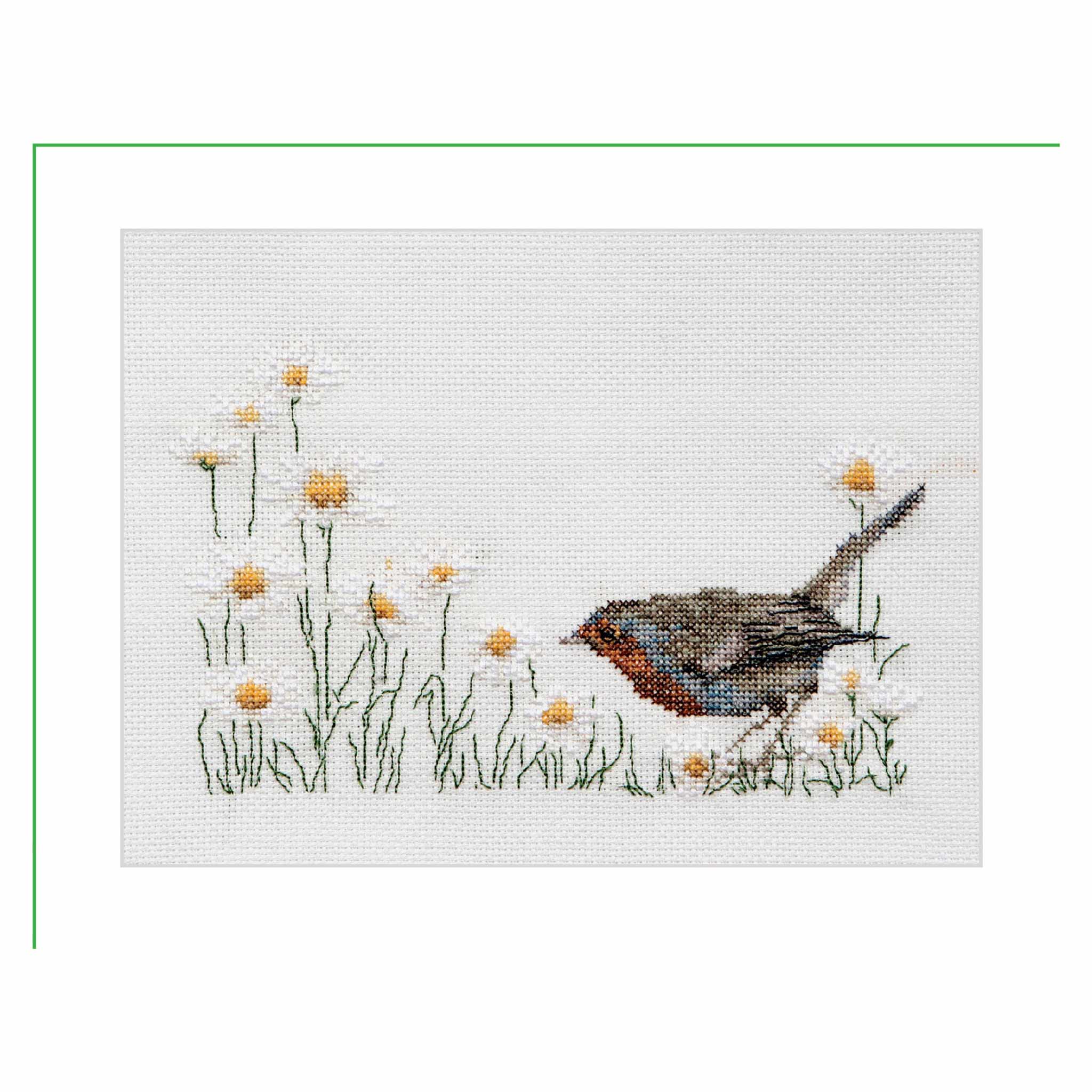 Counted Cross Stitch Kit Summer Robin Bird - Aida 16 Thea Gouverneur