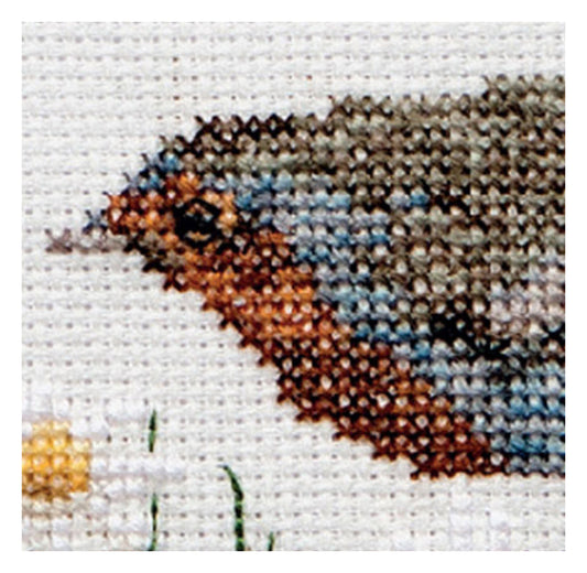 Summer Robin Bird - Aida - 16 - 792A