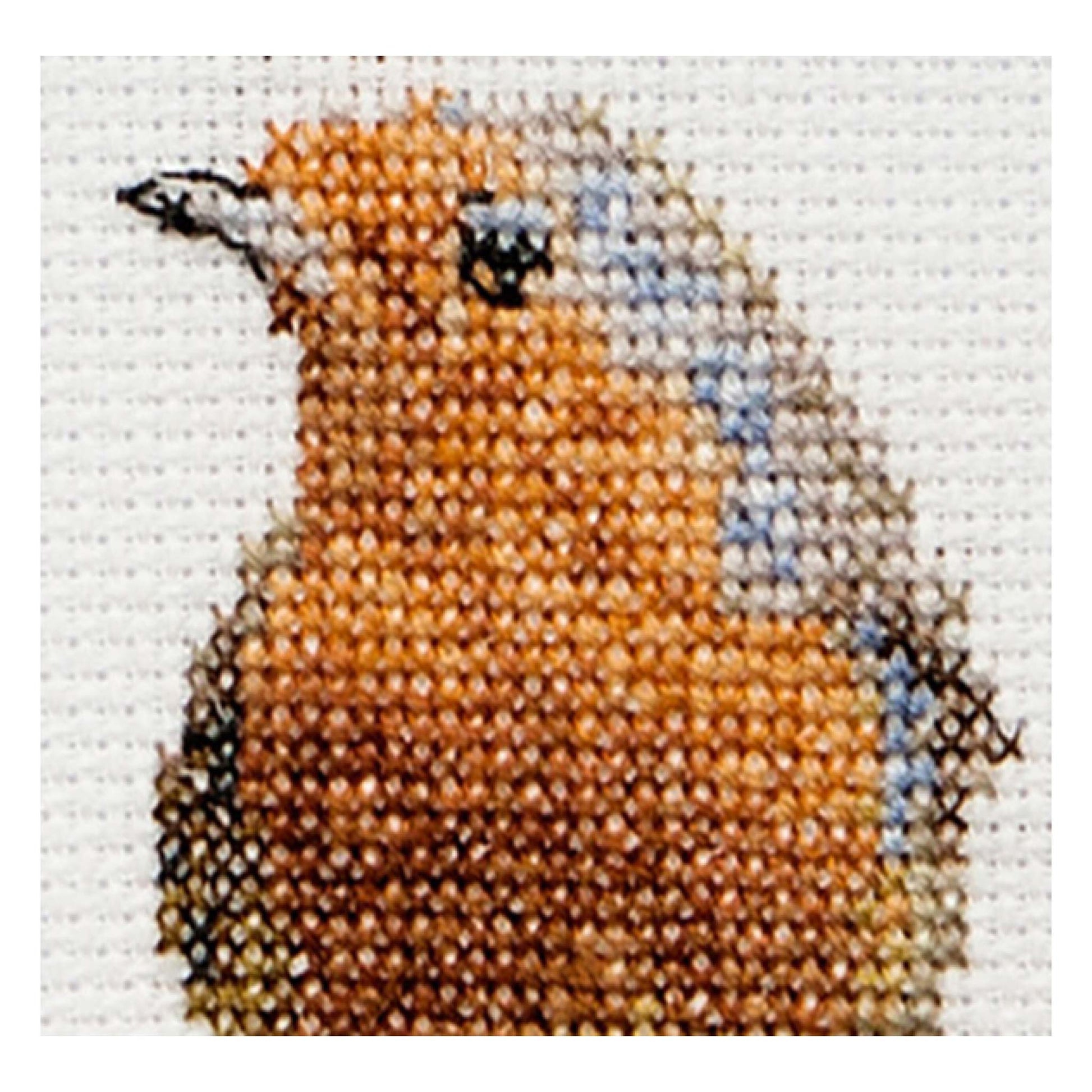 Cross-stitched robin on a white background