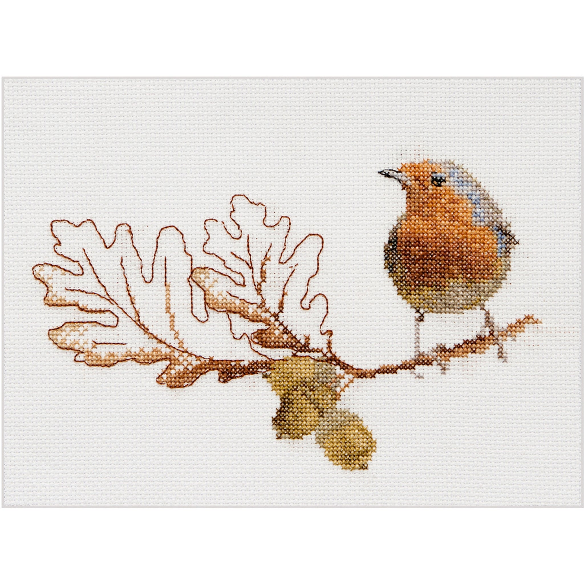 Fall Robin Bird - Aida - 16 - 793A