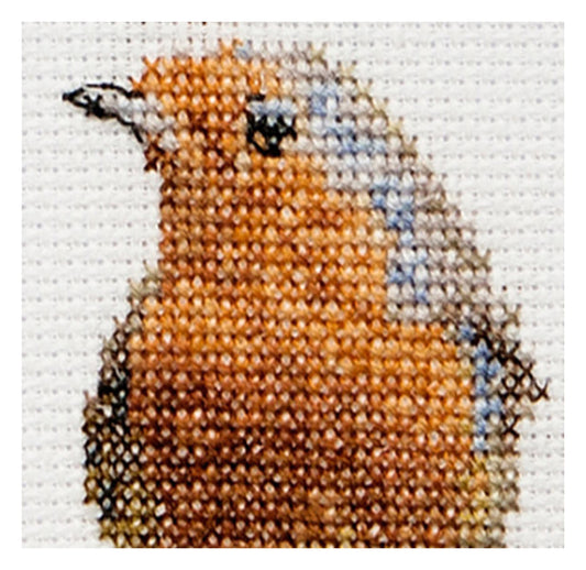 Fall Robin Bird - Aida - 16 - 793A