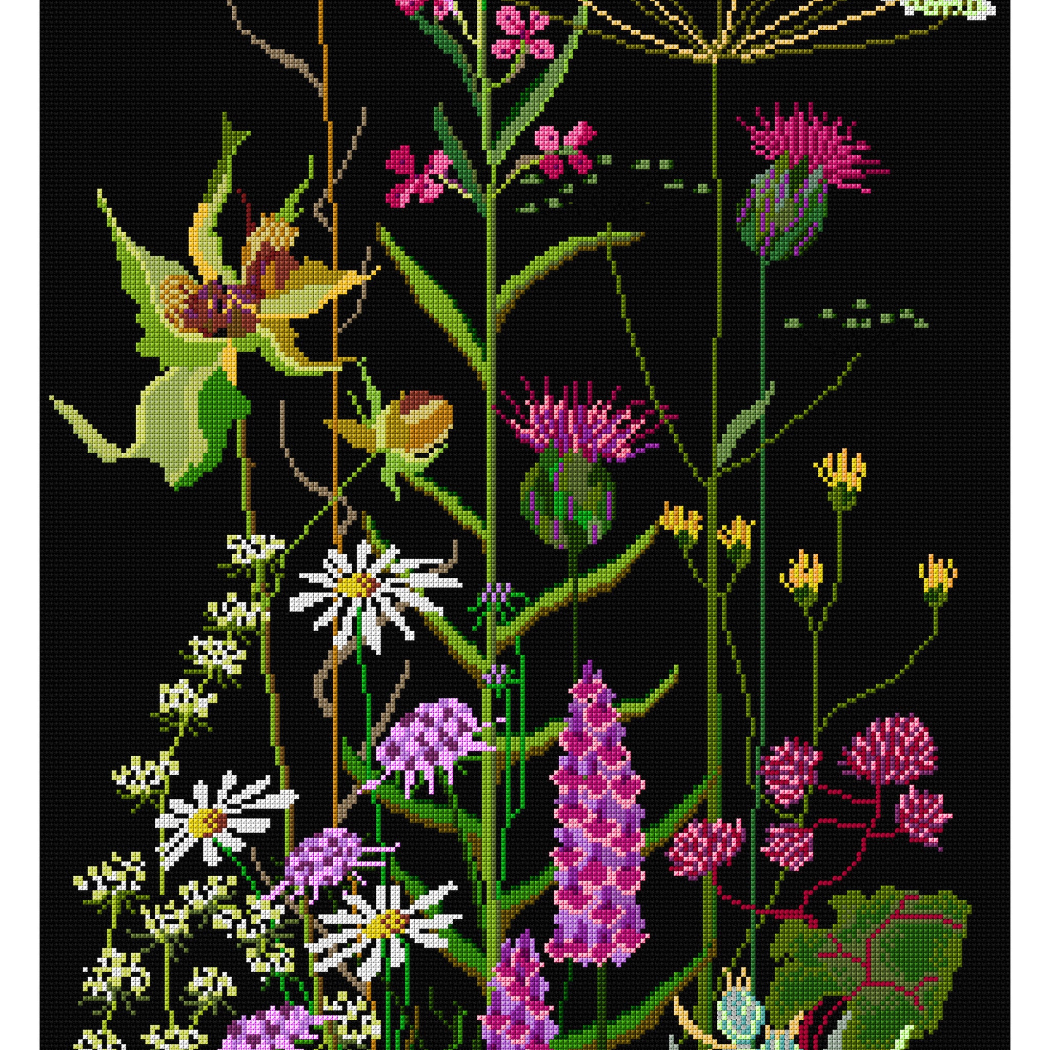 Wild Flowers - Aida Black - 18 - 821.05