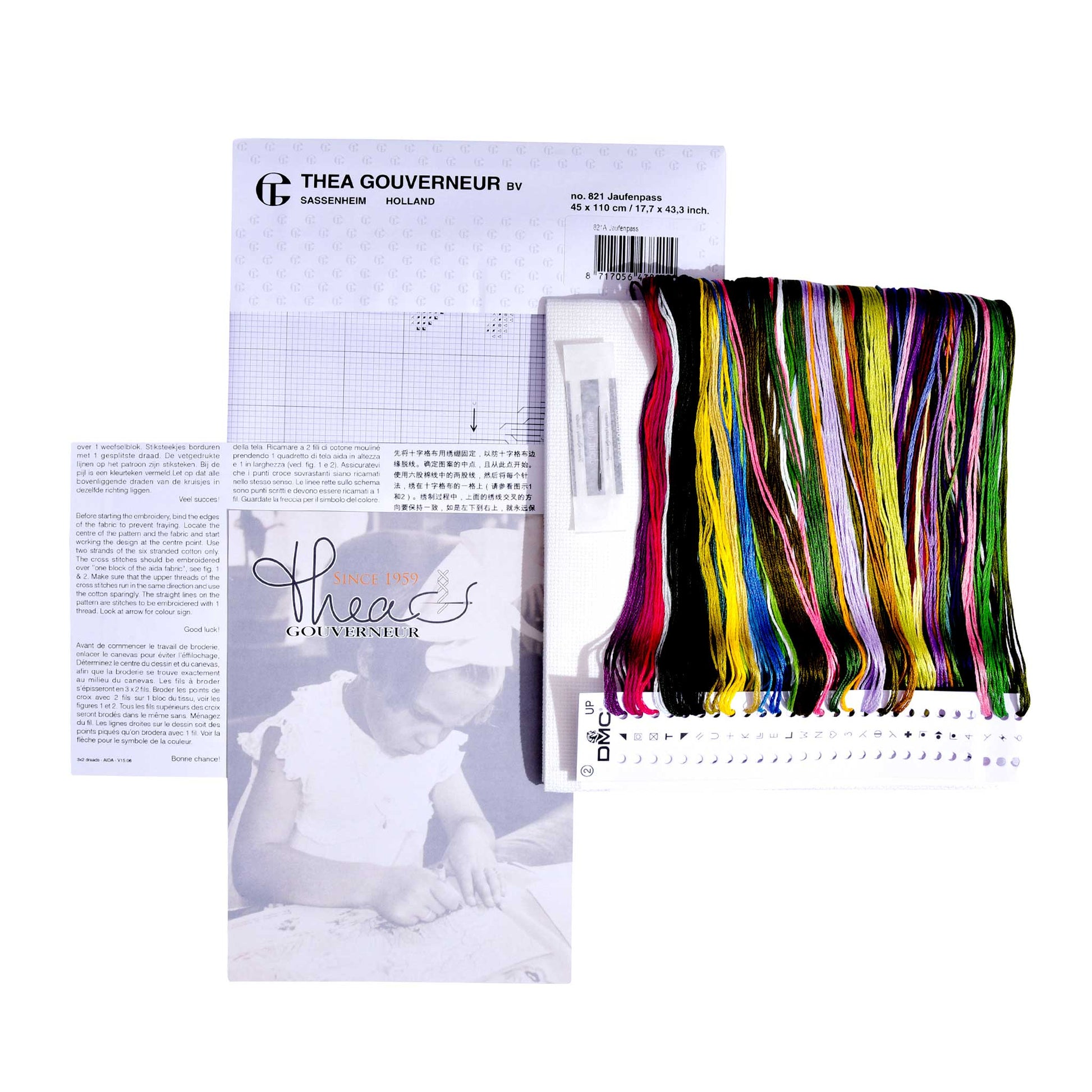 Embroidery kit content: Aida needlework fabrics, printed chart, colorful dmc embroidery threads presorted on the floss organizer