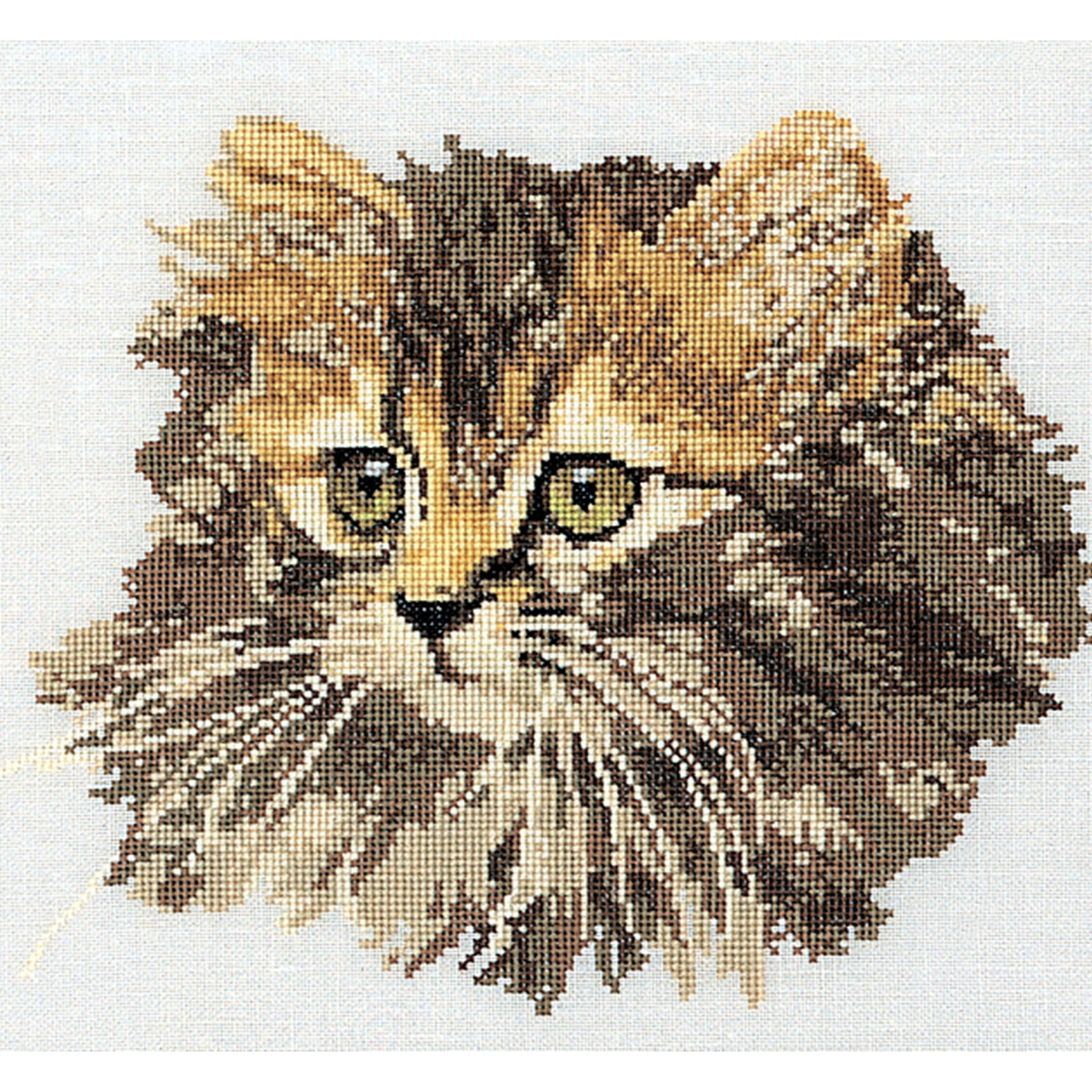 Long-haired Cat Brown - Aida - 12 - 930A