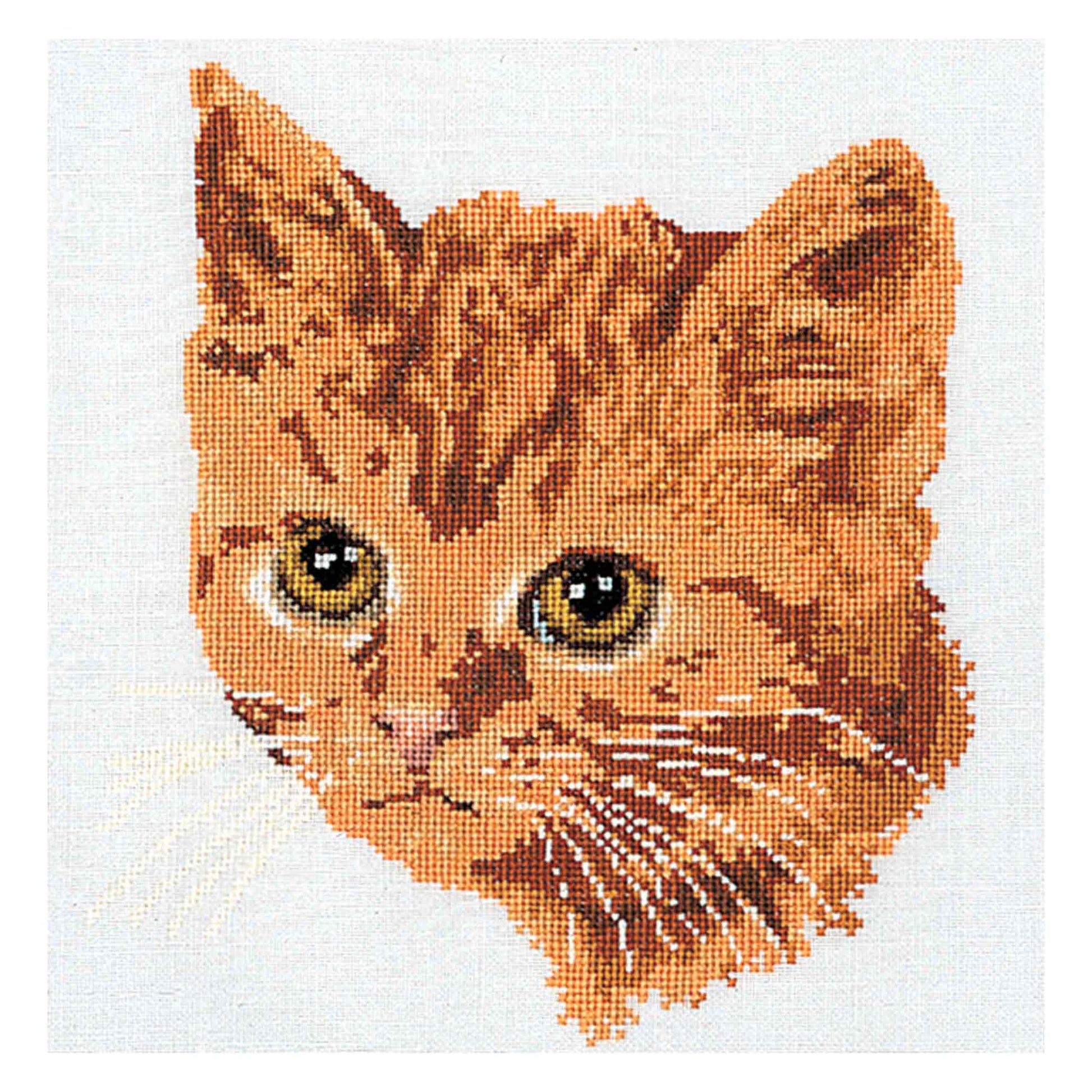 Cross-stitched pattern of a cat's face on a white background