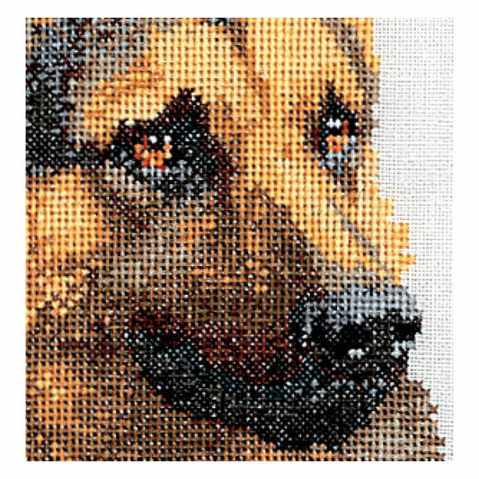 Cross-stitched design of a dog on fabric