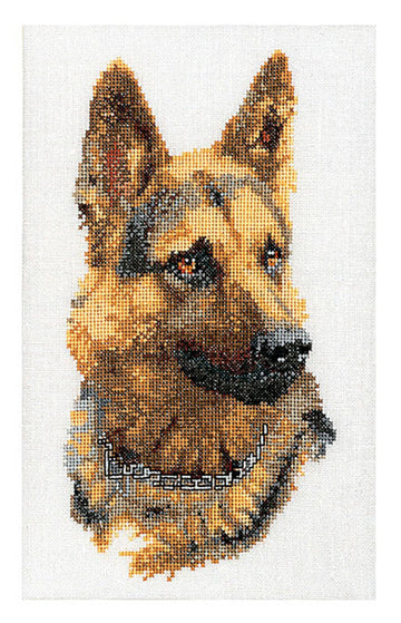 Shepherd's Dog - Aida - 12 - 934A