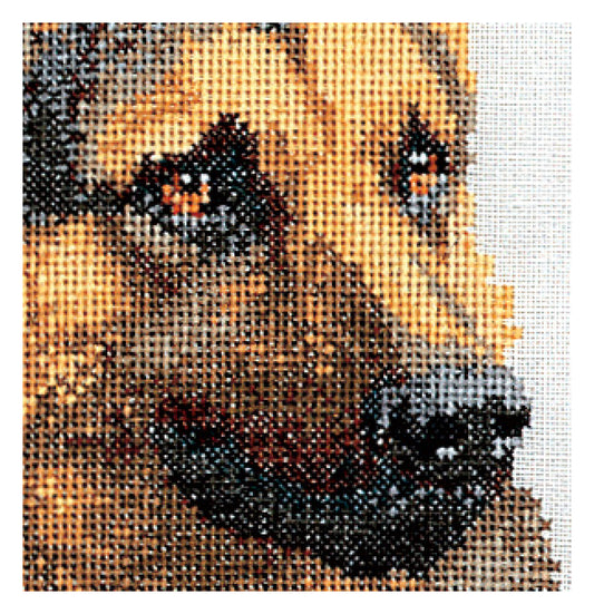 Shepherd's Dog - Aida - 12 - 934A